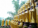 Chết đi về đâu?: Quan niệm của Thiên Chúa giáo và Phật giáo