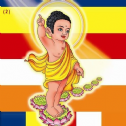 Đi tìm hình, tượng Phật Đản sinh…