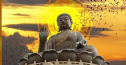 Diệt Đạo Phật và quả báo bi thảm của những kẻ cầm quyền trong lịch sử Trung Hoa