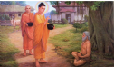 Đời sống hằng ngày của Đức Phật được diễn ra như thế nào?