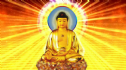 Đức Phật A Di Đà là ai qua lăng kính khoa học