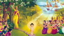 Đức Phật đản sanh liền đi 7 bước – Số 7 tượng trưng cho điều gì?