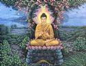 Đức Phật vì chúng sinh mà hi sinh không tiếc thân mạng