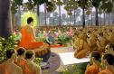 Giải đáp thắc mắc về Giới luật Phật giáo