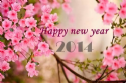 Hãy để mỗi ngày của năm mới chứa đầy hiểu biết và yêu thương