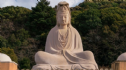 Hoa Kỳ: Khóa Học Trực Tuyến Miễn Phí Về Phật Giáo Tại Đại Học Harvard