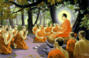 Luật Phật do ai quy định?