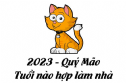 Mèo - Quý Mão 2023