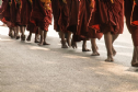 Myanmar: Du khách Hà Lan bị bắt giam vì bất kính Phật giáo