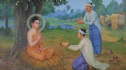 Người Phật tử tại gia đầu tiên thời Đức Phật là ai?
