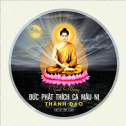 Nhân Ngày Thành Đạo chúng ta tri ân và khắc ghi lời Phật dạy