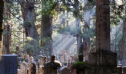 Nhật Bản: Bí ẩn khu mộ địa của 20 vạn tăng sĩ
