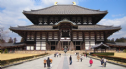 Nhật bản: Cảnh sát điều tra vụ phá hoại những ngôi chùa di sản