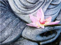 Phật giáo chánh tín là gì?