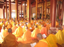 Phật giáo hay cơ hội giáo