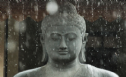 Phật giáo không thuần túy là tôn giáo