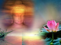 Phật Tánh Là Nền Tảng Từ Đó Mọi Hiện Hữu Lưu Xuất Và Biểu Lộ