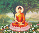 Phật Thích Ca - 佛釋迦 - Gautama Buddha