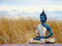 Quan điểm của Phật giáo về thế giới?