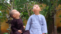 Quan hệ anh em, thân tộc trong kinh điển Phật giáo