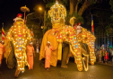 Sri Lanka: Hòa mình vào lễ rước răng Phật lớn nhất trên đường phố