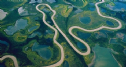 Tại sao không có cây cầu nào bắc qua sông Amazon?