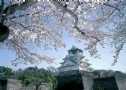 Thành cổ Osaka - dấu tích của một ngôi cổ tự