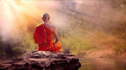 Thiền Tông và Giới Luật: Phật Giáo Thành Thị và Phật Giáo Trong Núi