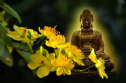 Thông Bạch Xuân Tân Sửu_2021 của Giáo Hội Phật Giáo Việt Nam Thống Nhất Hải Ngoại tại Úc Đại Lợi-Tân Tây Lan