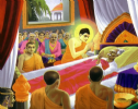 Tiền thân Đức Phật - Người con đại hiếu cắt thịt nuôi cha mẹ