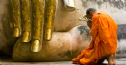 Tôi đến bên chân Phật vì học được luật nhân quả, là không, là vô thường...