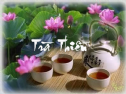 Trà Thiền