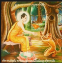 Xuân Bính Thân 2016 nói về con khỉ trong Kinh Phật.