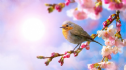 Xướng hoạ thơ Xuân: VUI XUÂN HIỆN TẠI - XUÂN THỊNH HỘI