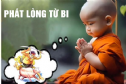 Ý NGHĨA CỦA LÒNG TỪ BI