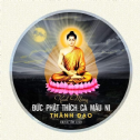 Ý nghĩa ngày Phật thành đạo (mùng 8 tháng 12 AL)