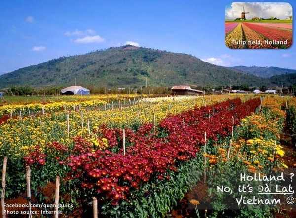 Đây là những cảnh đẹp tuyệt vời của Việt Nam, tuyệt đối không phải ở Tây ở Tàu! - Ảnh 27.