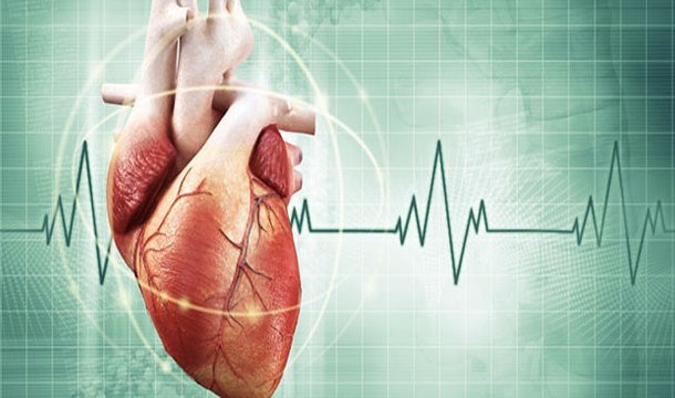 Bởi vì trái tim có xung điện riêng nên nó có thể tiếp tục đập ngay cả khi tách ra khỏi cơ thể, miễn là nó có nguồn cung cấp oxy.