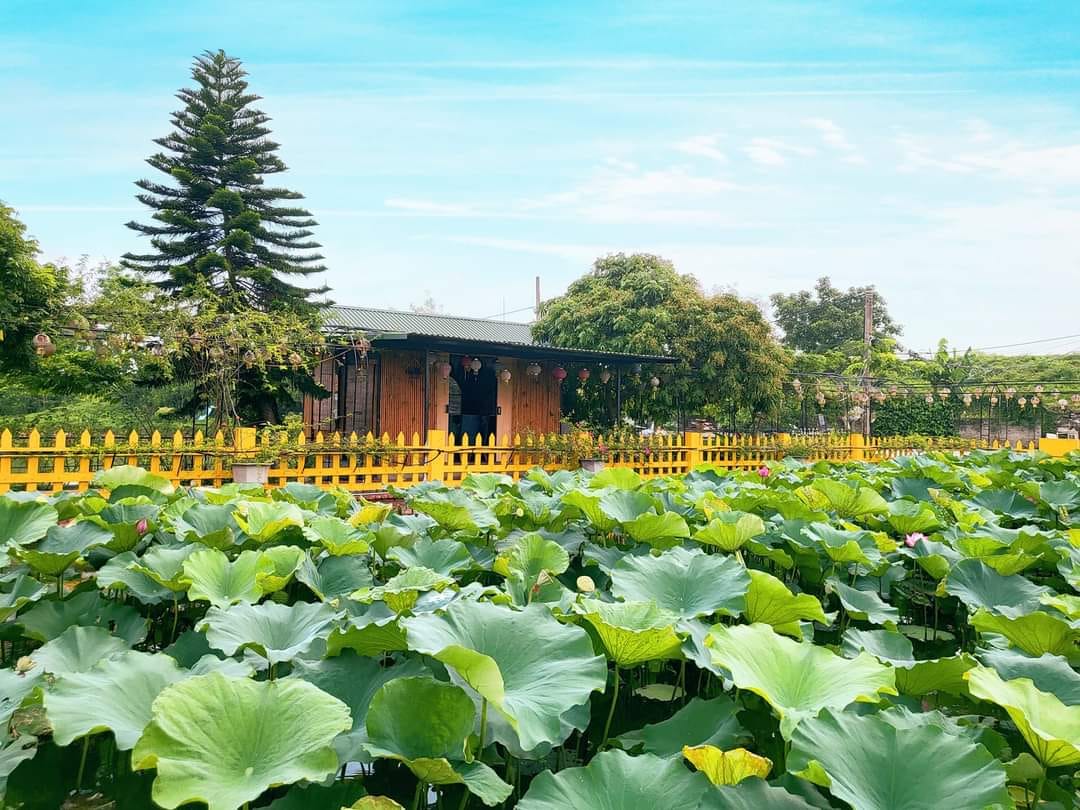 Tan Vỡ Niềm Đau-19