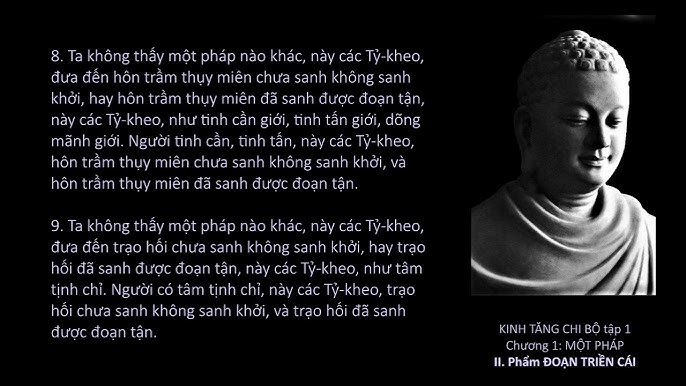 Video Books Kinh Tăng Chi Bộ (HT. Thích Minh Châu dịch)