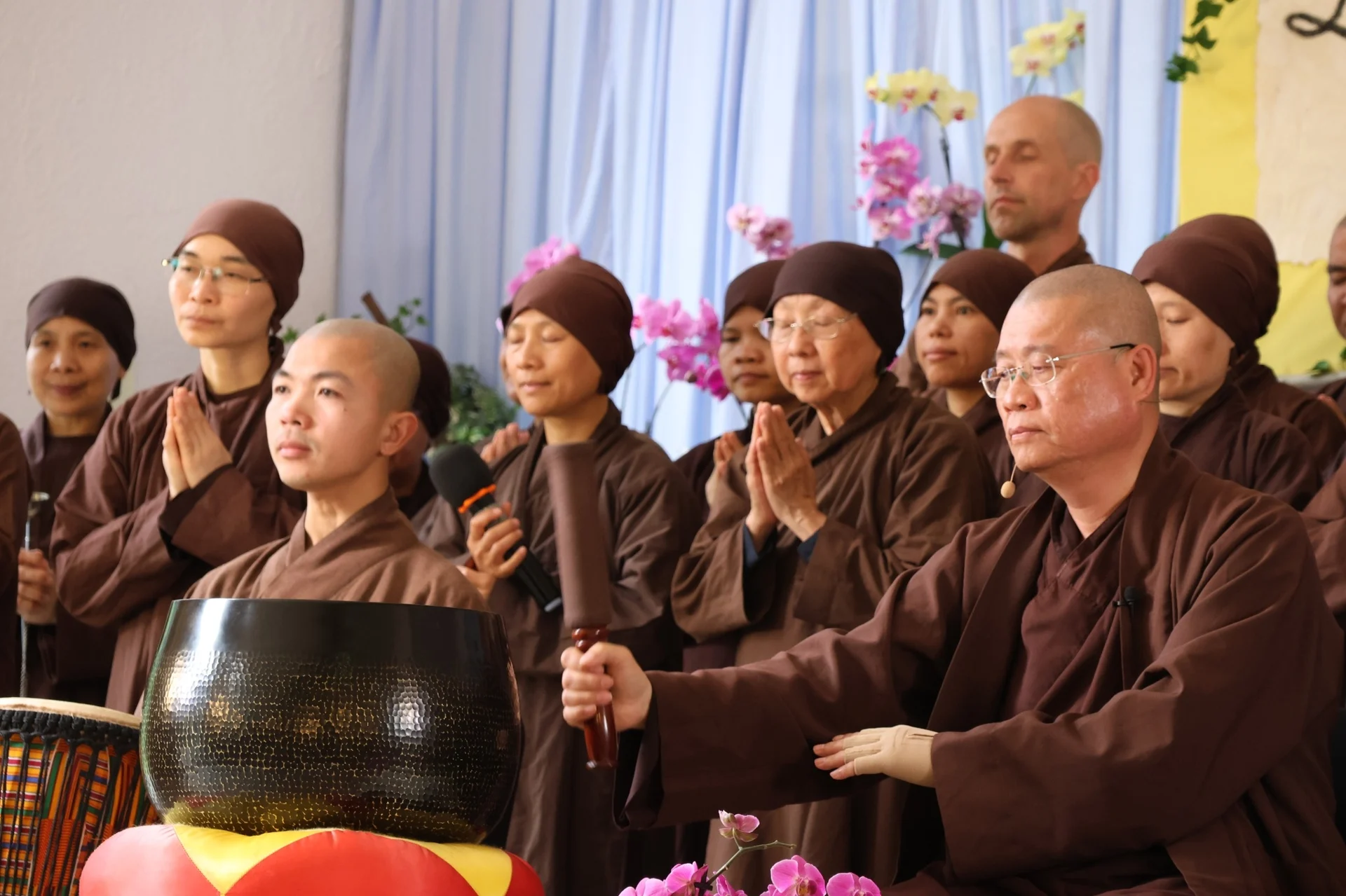50 người đến từ 12 quốc gia xuất gia gieo duyên theo Làng Mai-15