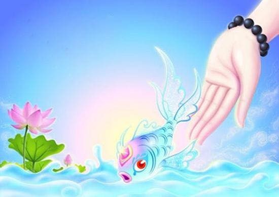 Khi phóng sanh nên niệm Phật hoặc đọc pháp kệ