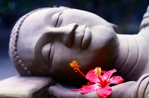 Tu hành tâm Từ giải thoát