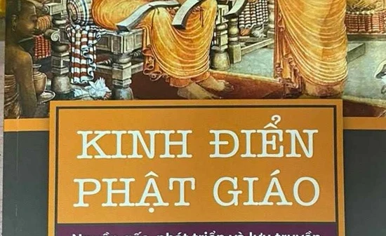 Kẻ điên rồ và người sáng suốt trong kinh điển Phật giáo