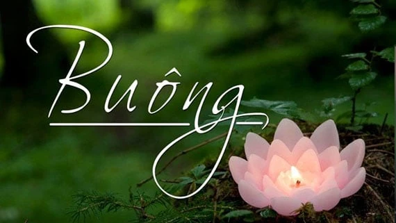 Buông bỏ - Buông xả * 喯補 – 喯捨 * Jahita – Upekkha * Abandon – Equanimity (2025)