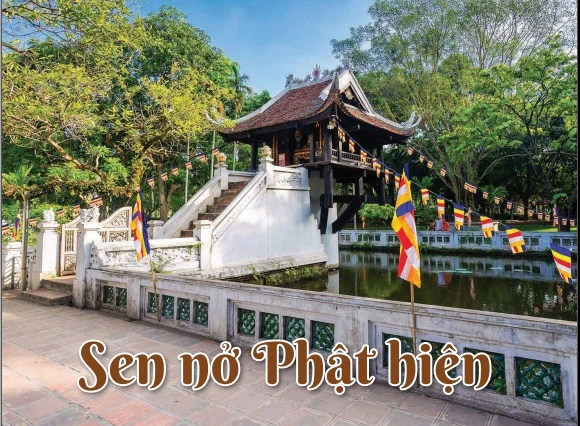 Sen nở Phật hiện