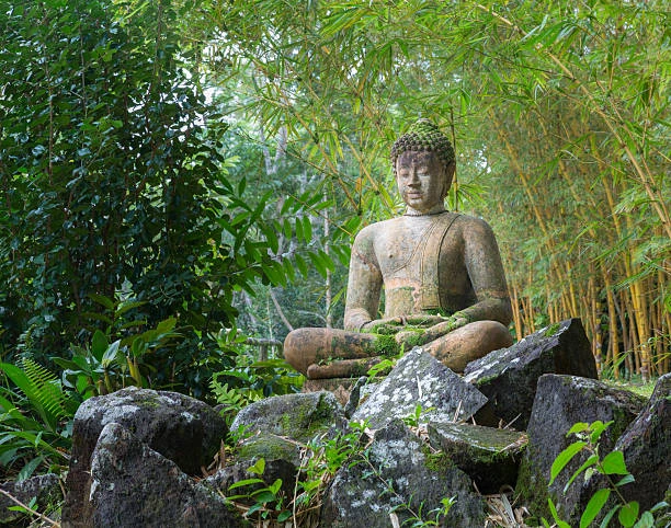 Đức Phật dạy về việc người tu ở trong rừng