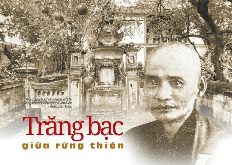 Trăng bạc giữa rừng thiền