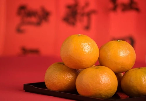 QUẢ CAM OAN NGHIỆT