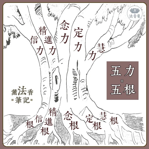 Ngũ căn – Ngũ lực * 五根 – 五力 *